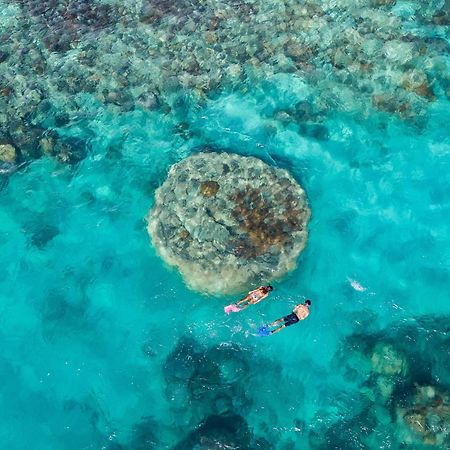 Shingley Beach Resort - Whitsundays Airlie Beach Esterno foto