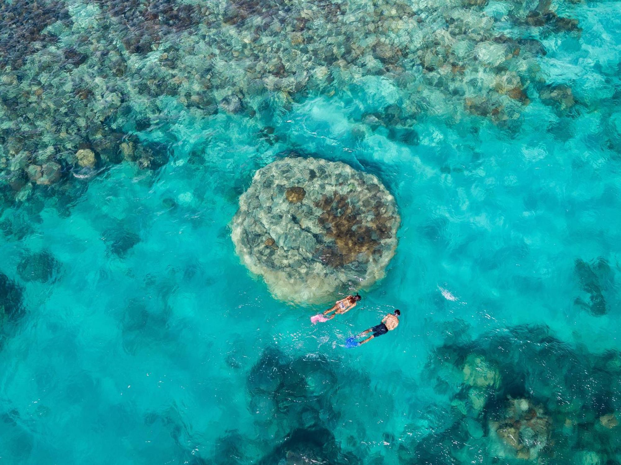 Shingley Beach Resort - Whitsundays Airlie Beach Esterno foto